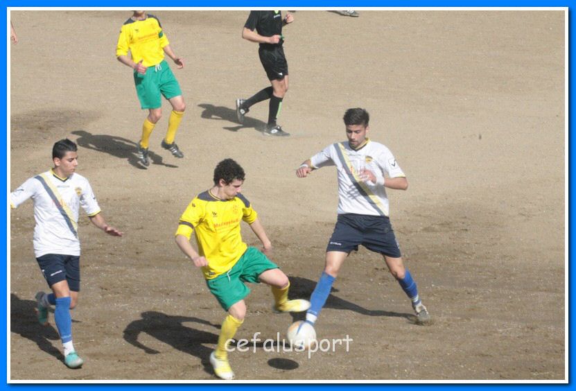 130406 delfini 035_tn.jpg